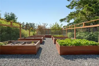 Fenced garden