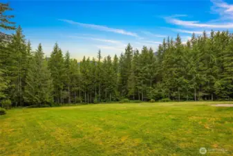 Back yard