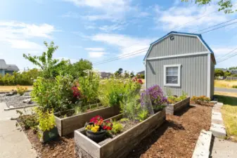 Storage shed and lovely flowerbeds