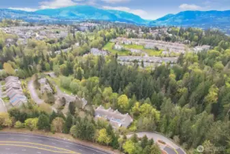 Aerial view of Forest Vilage looking towards mountains