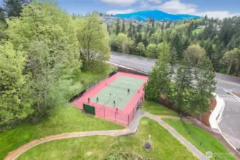 Pickle Ball sport court