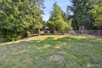 Large yard and driveway