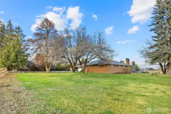 View of side yard and to back yard
