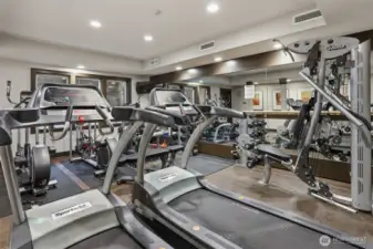Excellent workout room with lots of equipment.