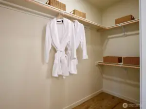 Primary Bedroom WI Closet