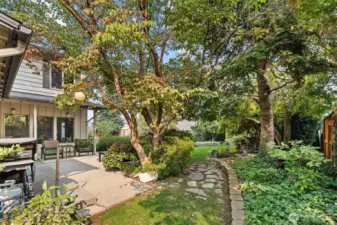 Beautiful backyard oasis