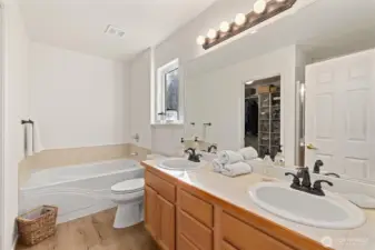 Large 5 piece bath; dual sinks, tub, shower (behind the door) and walk-in closet with custom insert