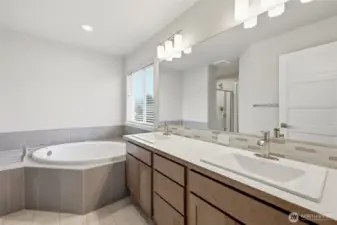 Primary bathroom with soaking tub.