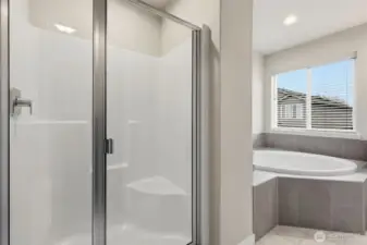 Primary bathroom with full shower and soaking tub.