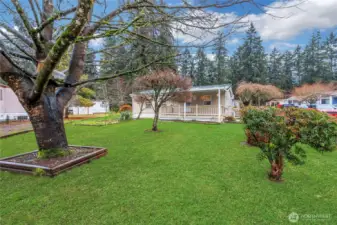 Another view of home, grass is photoshopped.