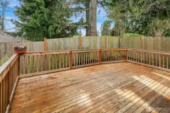 Backyard deck