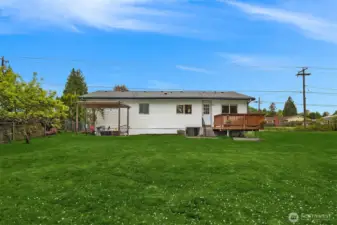 Large lawn for pets.