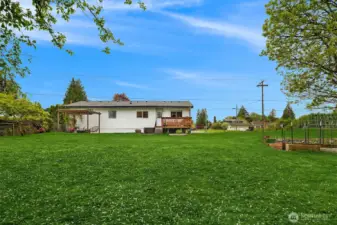 Spacious backyard great for outdoor living.