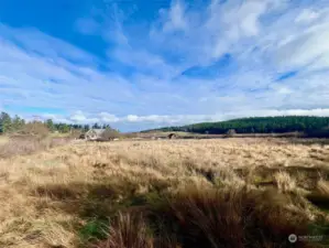 A macro/wide view of the lots and surrounding area. Lagoon to the NorthEast.