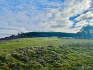 Fort Worden West Pastures, just 1/3 mile from the lots at the end of Kuhn. An easy walk from the property.