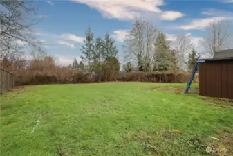 Huge tall, fenced backyard