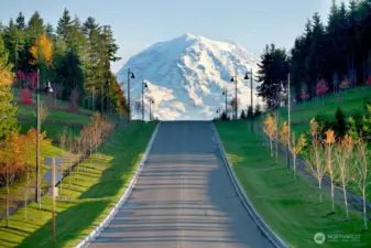 At the feet of "Mount Tahoma" (also known as Mt Rainier), the Tehaleh Community is comprised of a network of 35+ miles of trails, several parks, many athletic venues, a quality private restaurant, coffee shops, and more. The sum total? An affordable, active 55+ community you'll love!