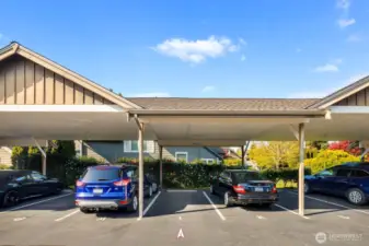 Designated covered spot - go ahead and park here when touring the home
