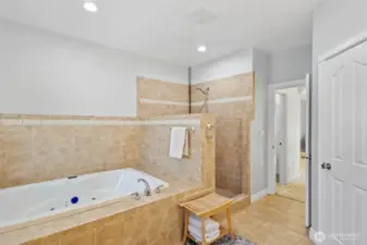 Primary Bathroom with Soaking Tub