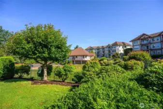 Centre Pointe condominiums where the HOA dues are low and the amenities are high!
