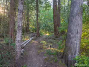 Walk the trails on your own park like acreage to explore and enjoy nature