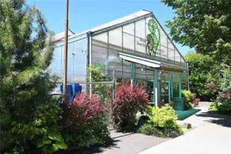 A favorite Nursery (great Noble Christmas trees) along with the hot apple cider.