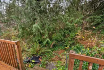 Concrete poured steps that lead all the way down to creek. There used to be a little cabin next to creek but it has fallen down.