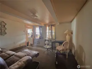 Basement living room