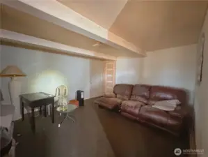 Basement living room