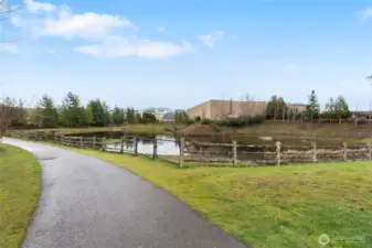 The pond, park and trail opposite the house.
