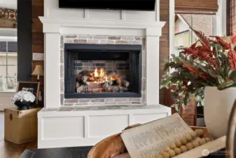Fireplace Propane