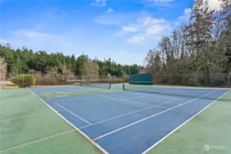 Volley ball and Tennis Court Access!