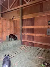 hay area at barn
