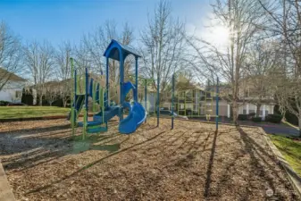 Community park - known as the blue park is maintained by the HOA. Guest parking is around this park.