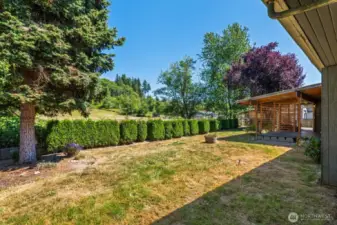 Just shy of 1/3 acre