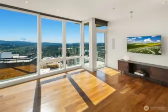 Sunny southern exposure for this spacious great room/ den. Balcony access for   year-around gas grilling.