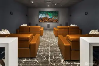 Bellevue Towers Community Movie Screening Room.