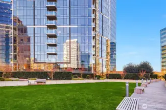 Bellevue Towers Half Acre Urban Garden