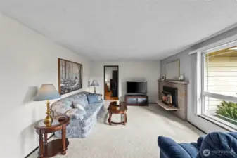 Large windows flood the living room in natural light. Blinds are included when you want privacy.