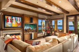 2 gas fireplaces