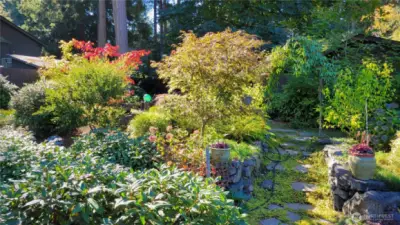 Look at this beautiful backyard during the spring to fall.  Photos by the seller