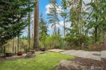Peaceful view of the woods in backyard