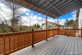 large covered Trex style deck great for BBQing and outdoor living all year 'round!