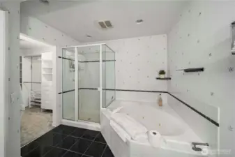Main house master bath