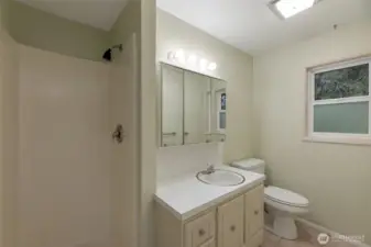 primary suite bath