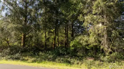 A view from the street.