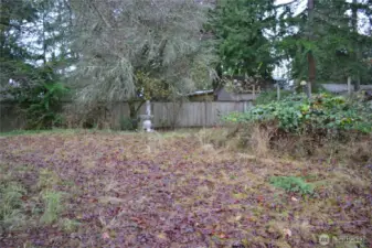 Back area of lot(s)