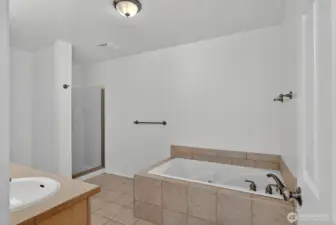 Jetted tub and separate shower.
