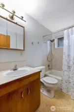 Full Hall Bathroom