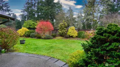 Established landscaping